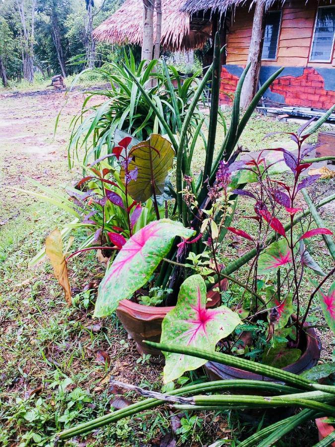 Baan Jing Jai Homestay Resort Lanta Ko Lanta Buitenkant foto